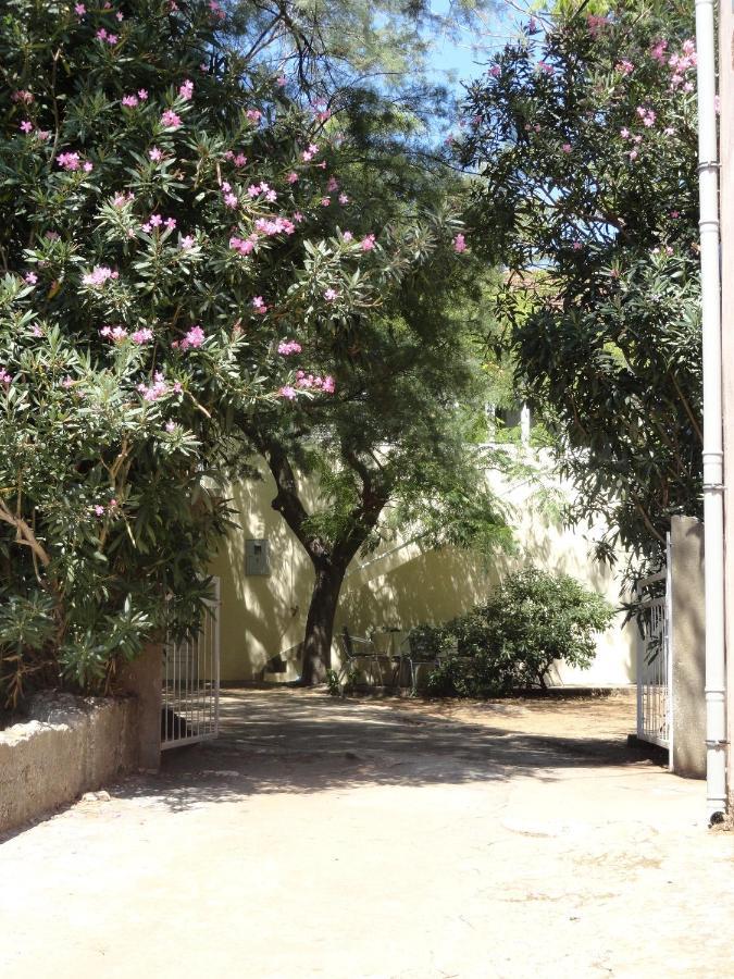 Janjina Seaside Holiday House Drace, Peljesac - 13117 מראה חיצוני תמונה